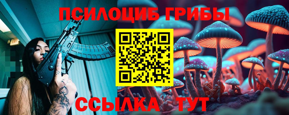 Черкесск  Псилоцибиновые грибы мицелий  Вход с VPN  Псилоцибиновые грибы Cubensis 